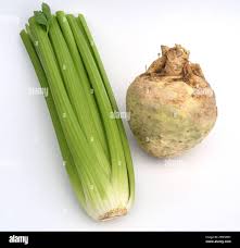 Image result for Sellerie