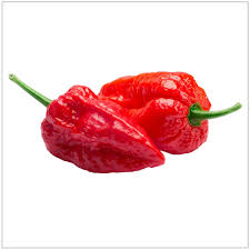 Afbeeldingsresultaat voor naga jolokia hot pepper