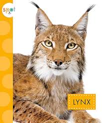 Afbeeldingsresultaat voor lynx