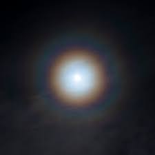 Attēlu rezultāti vaicājumam “pollen corona”