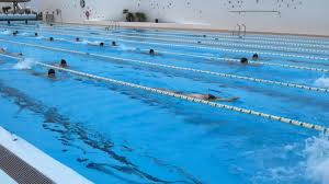 Image result for Maidenhead Marlins Swimming Club