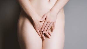 Image result for schamhaar