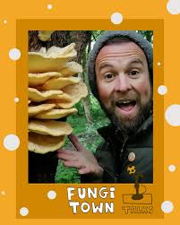 Attēlu rezultāti vaicājumam “Sarcoscypha austriaca var. lutea”