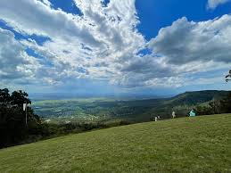 「Mt. Tamborine」的圖片搜尋結果