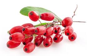 Attēlu rezultāti vaicājumam “Berberis vulgaris fruit”