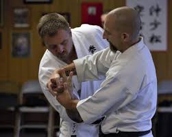 Image result for Taunton Karate Jutsu