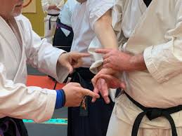 Image result for Ryuko Dojo