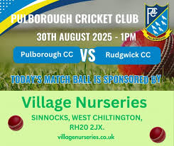 Image result for Pulborough Cricket Club