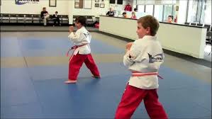 Image result for Skillz Martial Arts