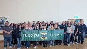 Image result for Wolfe Tones Gaelic Athletic Club