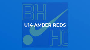 Image result for Burgess Hill Hockey Club