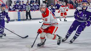 Image result for Shrewsbury Hockey Club