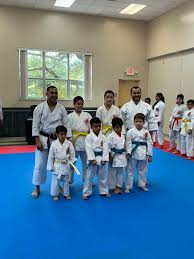 Image result for Blackpool Budokan Martial Arts