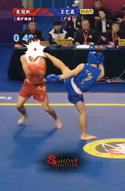 Image result for North West Chinese Kickboxing