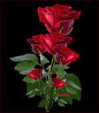 [تصویر: images?q=tbn:ANd9GcR9uHyUXTrfod8JFue8OIT...sfUo_IrqA-]