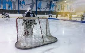 Image result for Streatham Night Wolves Ice Hockey Team