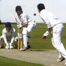 Image result for Wilmslow Wayfarers Cricket Club