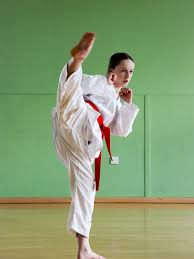 Image result for Bytomic Tae Kwon Do Beaconsfield