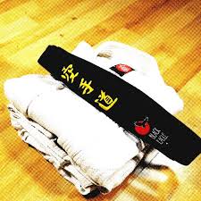 Image result for AikidoFlow