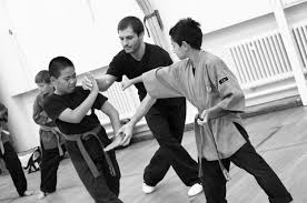 Image result for Shaolin Nam Pai Chuan Kung Fu - Manchester Martial Arts Centre
