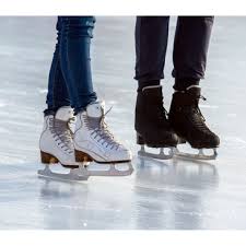 Image result for Guildford Ice Figure Skating Club