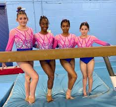 Image result for Heathrow Gymnastics Club