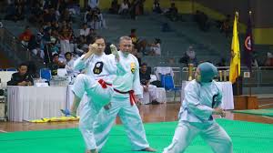 Image result for Silat Perisai Diri Classes Club