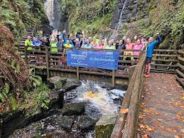 Image result for Ballymena Runners