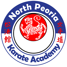 Image result for Northern Freestyle Karate Association