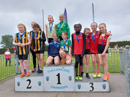 Image result for Harriers Netball Club