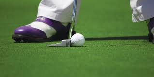 Image result for Browston Hall Country Club