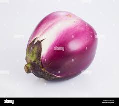 Afbeeldingsresultaat voor melanzana prosperosa eggplant