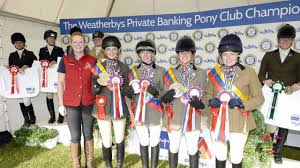 Image result for Chiddingfold Branch Of The Pony Club