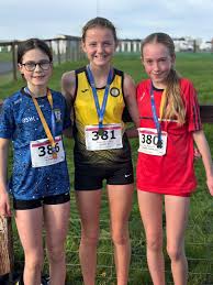 Image result for Louth Athletic Club