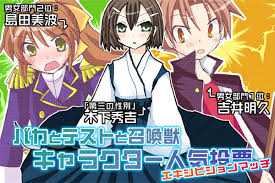 「吉井玲 バカとテストと召喚獣」の画像検索結果