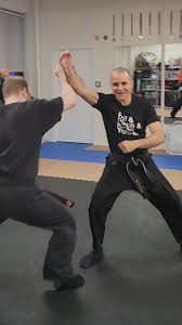 Image result for Bujinkan Ninpo Dojo