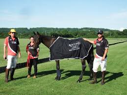 Image result for Taunton Vale Polo Club