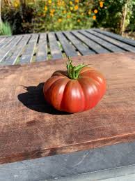 Afbeeldingsresultaat voor purple calabash tomato