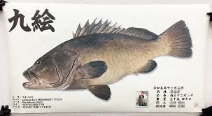 「魚拓」的圖片搜尋結果