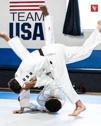 Image result for Judo Excellence