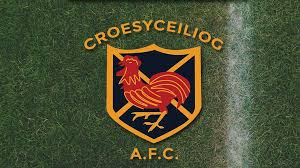 Image result for Croesyceiliog Cricket Club