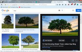 Image result for tbn<img src=