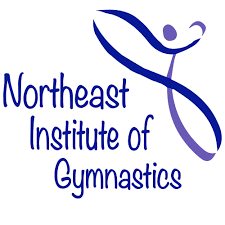 Image result for Focus Institute of Gymnastics
