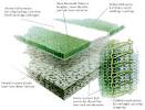 Muhlenberg College AstroTurf