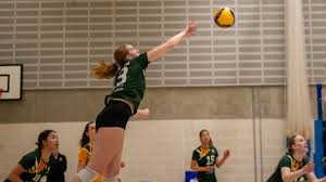 Image result for Bournside Volleyball Club