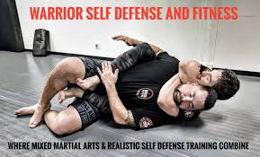 Image result for Combined self defence arts