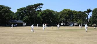 Image result for Lynchmere Cricket Club