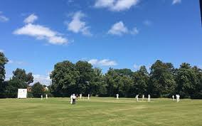 Image result for Tendring Cricket Club