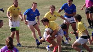 Image result for Totnes Rugby Club
