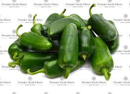 Afbeeldingsresultaat voor jalapeno early hot pepper